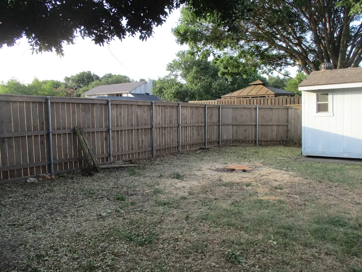 Cleared yard after professional tree removal in Independence